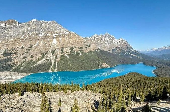 Spanish Private Tour to Columbia Icefields from Calgary - Logistics and Booking Details