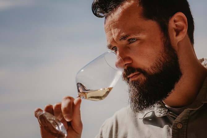 Spanish Wine Tasting - Pairing Wines with Local Tapas