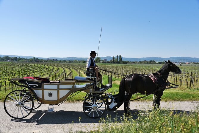 Sparkling carriage ride through Krems and the Wachau vineyards - Sparkling Carriage Ride through Krems and Wachau Vineyards