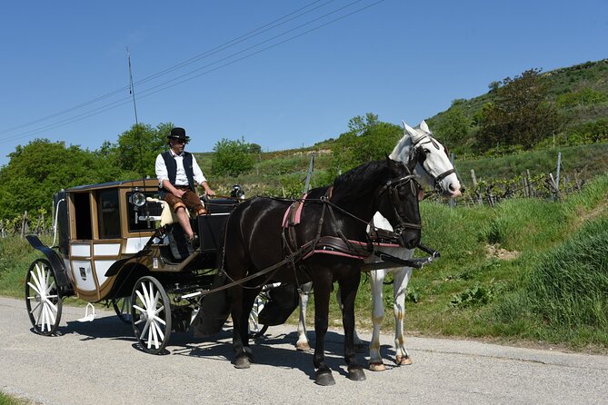 Sparkling carriage ride through Krems and the Wachau vineyards - Who Is This Tour Best Suited For?