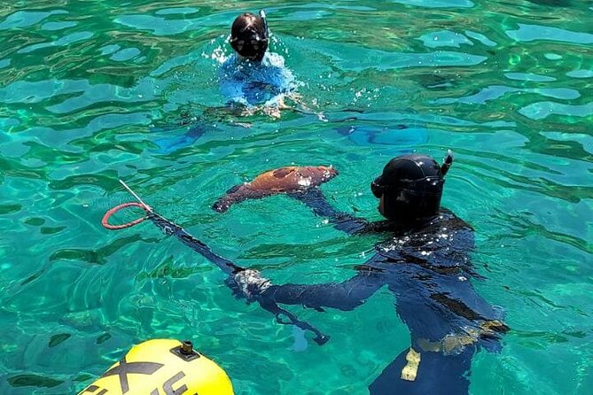 Spearfishing in Chania, Crete (price is per group) - Discover the Unique Spearfishing Experience in Chania, Crete