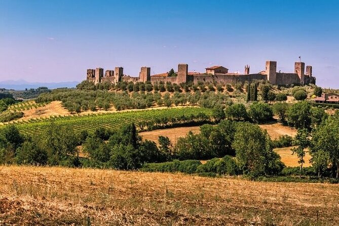 Special Chianti Afternoon Wine Tour from Florence - Scenic Stops and Photo Opportunities in the Chianti Hills