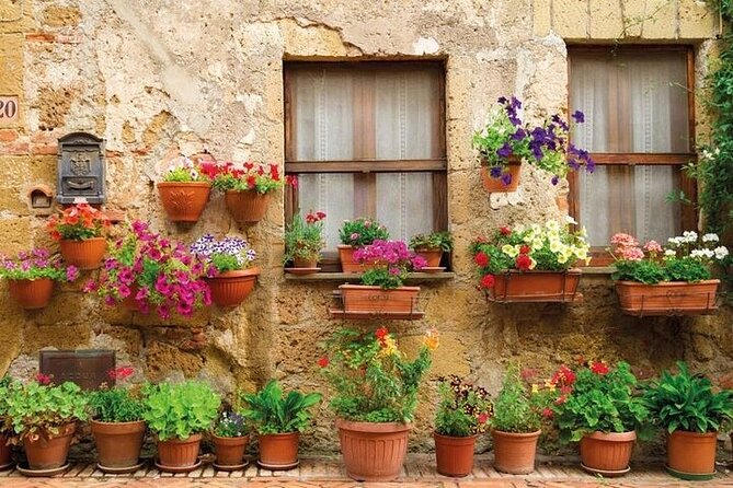 Special Chianti Afternoon Wine Tour from Florence - Flexibility and Booking Details