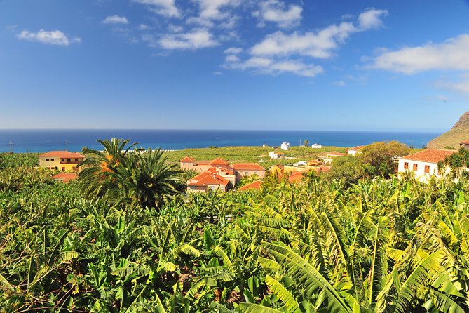 Special cruise tour Center and South La Palma (Price per car not per person) - Returning to the Starting Point with a Coastal Perspective