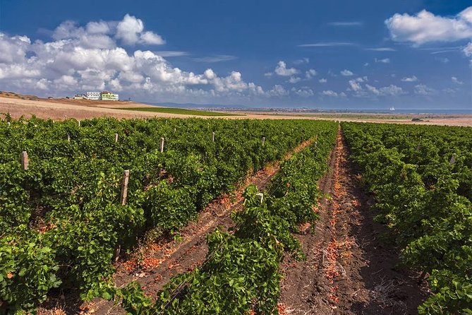 Special History And Wine Tour including Wine Tasting - Guided Tour of the Winery Grounds