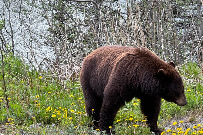 Special Magic Hour Photography Tour - The Unique Focus on the "Golden Hour" Lighting