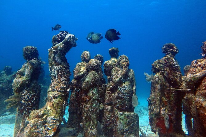 SPECIAL! Snorkel at MUSA - The Underwater Museum Reservation - Comparing This Tour to Other Options