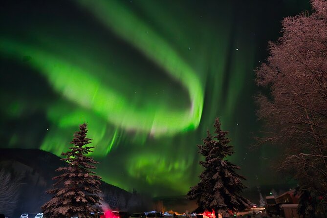 Spectacular Chena Hot springs Northern Lights experience - Northern Lights Viewing and Photography