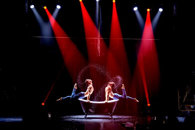 Spectacular Dinner-Show - Interaction and Post-Show Activities