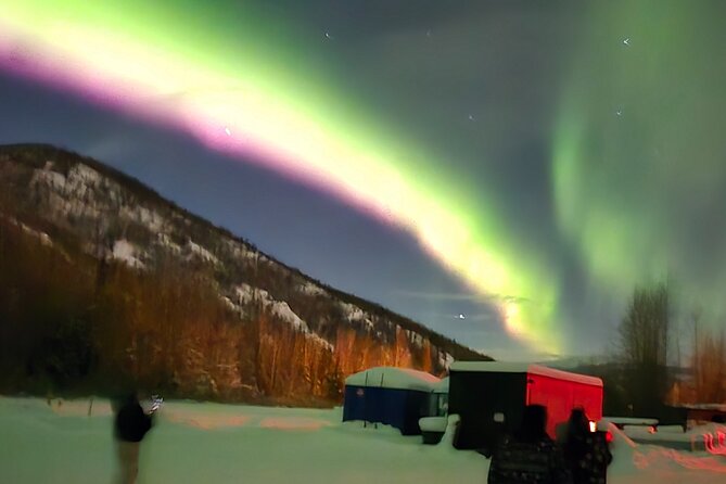 Spectacular Hot Spring Experience with Northern Lights - Guided Ice Museum Tour and Artistic Ice Sculptures