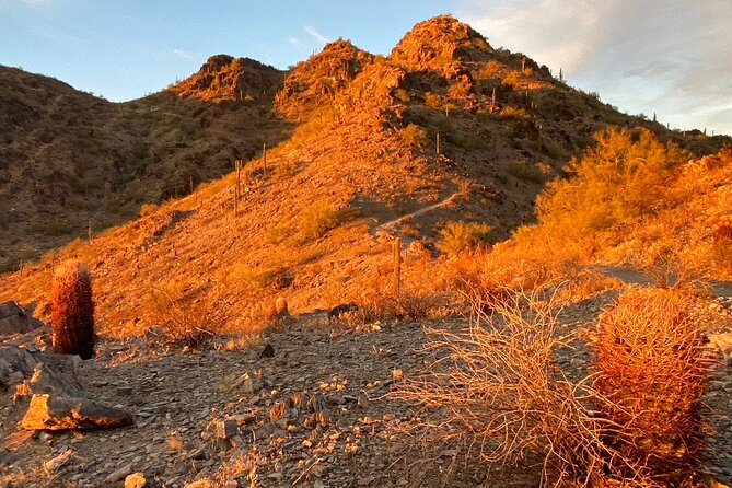 Spectacular Sunrise Guided Hike in Phoenix, Arizona - Phoenix’s Sonoran Desert: A Unique Setting for Sunrise