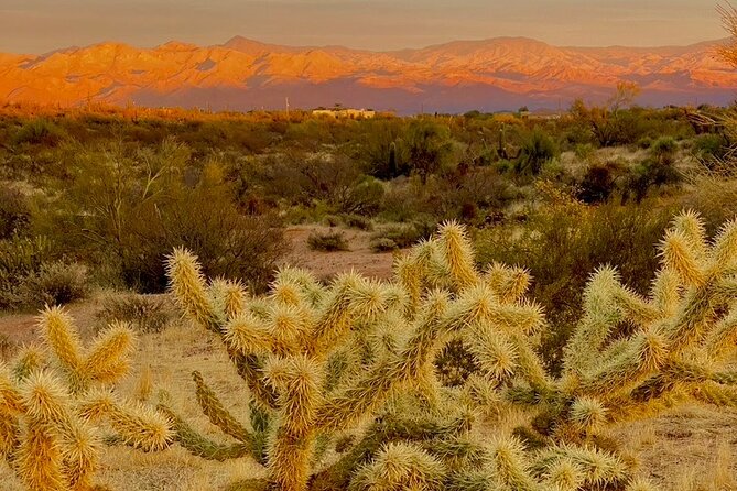 Spectacular Sunrise Guided Hike in Phoenix, Arizona - Flexibility and Cancellation Policies