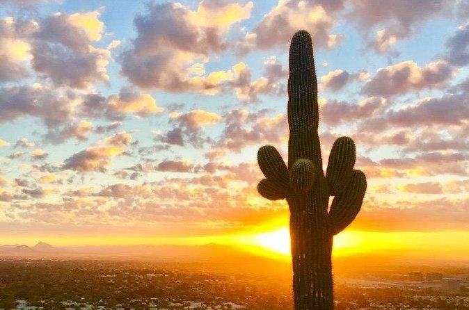 Spectacular Sunrise Guided Hike in Phoenix, Arizona - Why Choose This Sunrise Hike?