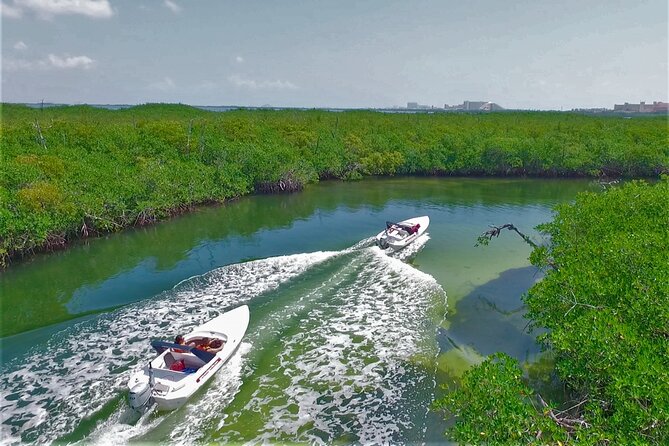 Speed Boat Tour for 2 - A Journey across Lagoon and Mangroves - Physical Requirements and Safety Tips