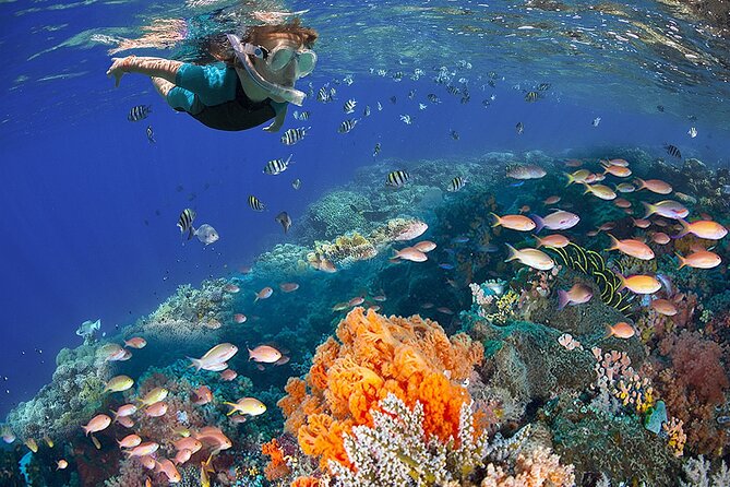 Speed Boat with Snorkeling Adventure of Cancun - Why Choose This Tour in Cancun