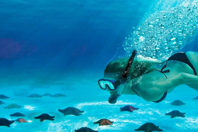 Speed Boat with Snorkeling Adventure of Cancun - Frequently Asked Questions