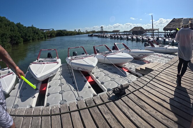 Speed of the Mayan Jungle - Why Choose the Speed of the Mayan Jungle Tour