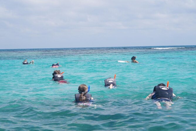 Speedboat Adventure and Snorkeling with transportation in Cancun - Key Points