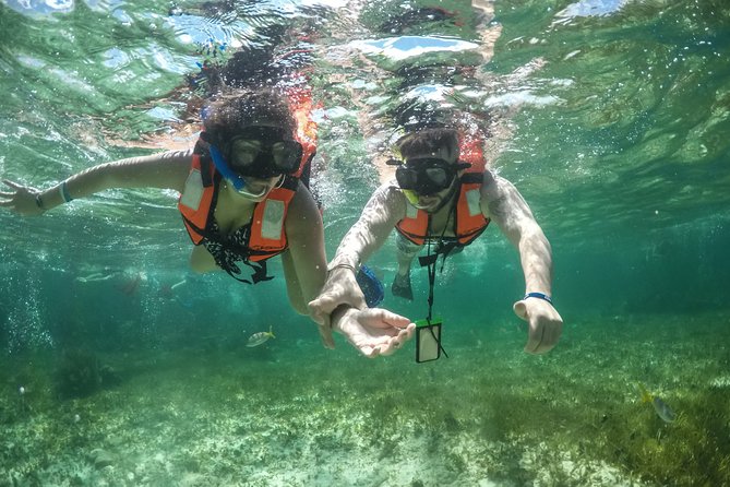 Speedboat adventure - Meeting Point and Logistics