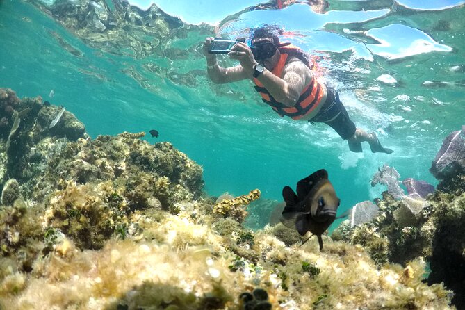 Speedboat and snorkel adventure - A Likely Favorite for Adventure Lovers