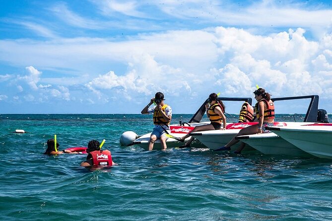 Speedboat and Snorkel Tour from Cancun with Transportation - Discovering the Mangrove Canals of Laguna Nichupté