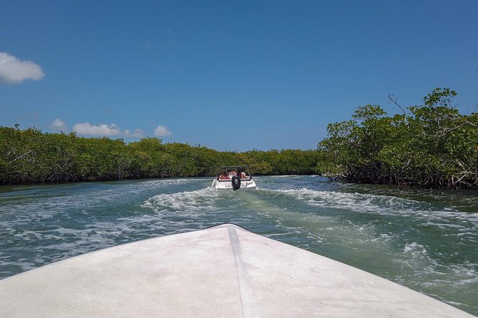 Speedboat and snorkel tour: Single Passenger Boat - Key Points