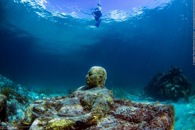 Speedboat and snorkel tour: Single Passenger Boat - What Makes This Tour Stand Out: Solo Driving and Underwater Sculpture