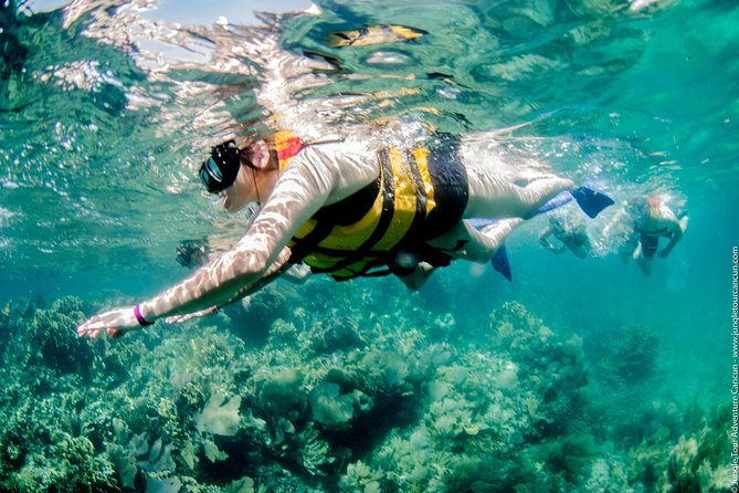 Speedboat and snorkel tour: Single Passenger Boat - Group Size and Booking Requirements