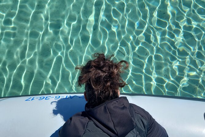 Speedboat excursion through the coves of northern Menorca - Secluded Savinar de Mongofre and the Return to Addaia