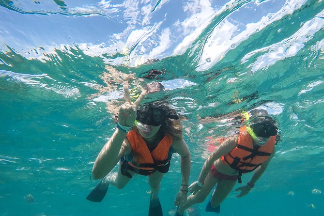 Speedboat jungle tour and snorkel - Snorkeling in the Caribbean Waters: What to Expect