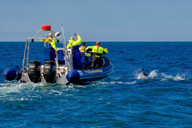 Speedboat Whale Watching Small-Group Tour in Reykjavik - Waterproof Gear and Safety Equipment Provided