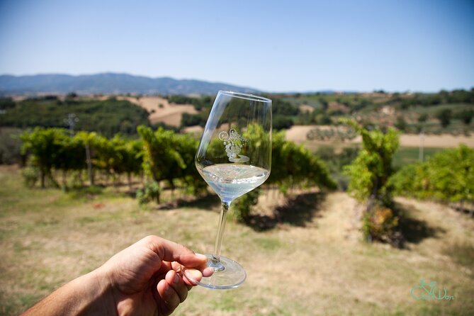 Spello E-Bike Tour with Lunch and Wine Tasting! - Starting Point at Greenways Italy Tours in Torre del Colle