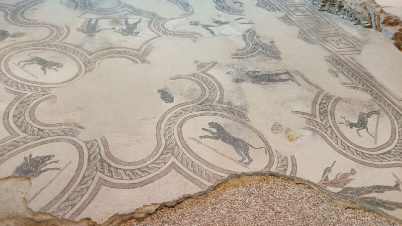 Spello: Roman Mosaics and Renaissance Masterpieces Tour - Who Will Enjoy This Tour Most