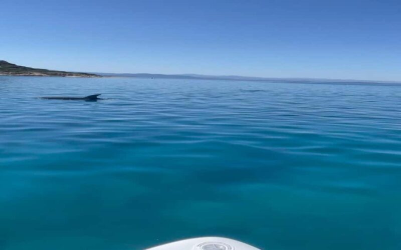 Spiaggia delle vacche SUP paddleboard tour sunset aperitif - Weather and Location Flexibility for the Tour