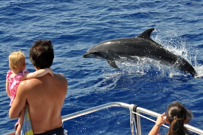 Spirit of the Sea: Cetacean sighting in Gran Canaria - Starting Point and How to Join the Tour