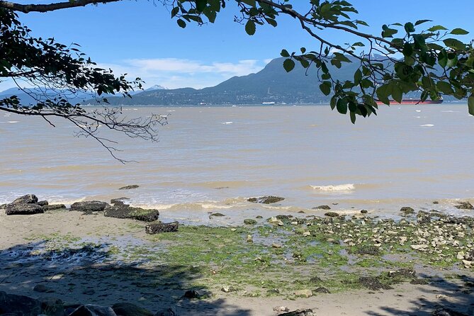 Spirit Of Vancouver Bike or Ebike Tour - Riding Along Vancouver’s Beaches and Coastal Trails