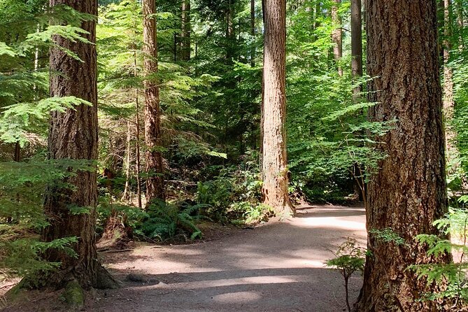 Spirit Of Vancouver Bike or Ebike Tour - Convenient Pickup and Departure Details