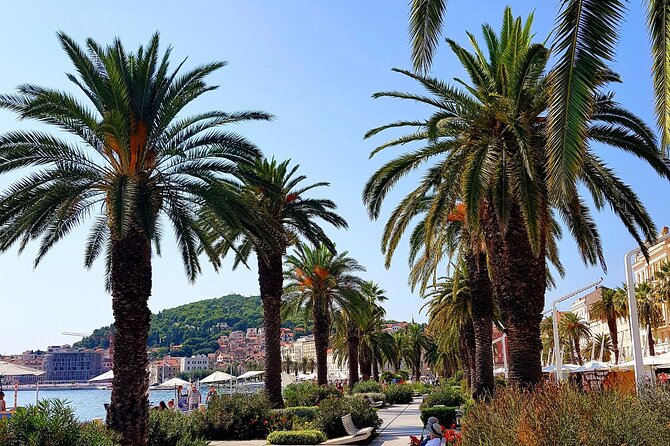 Split and Ston private tour or transfer - Discovering Split’s Historic Center and Diocletian Palace