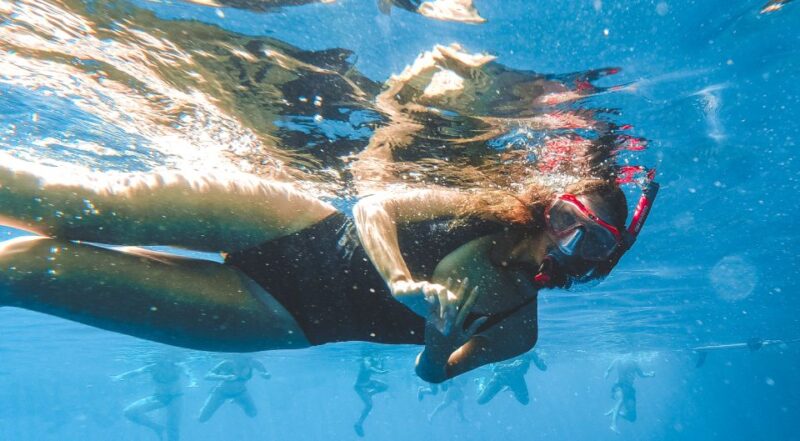 Split: Blue Cave and 5 Islands Tour - The Pakleni Islands and Hvar’s Vibrant Scene