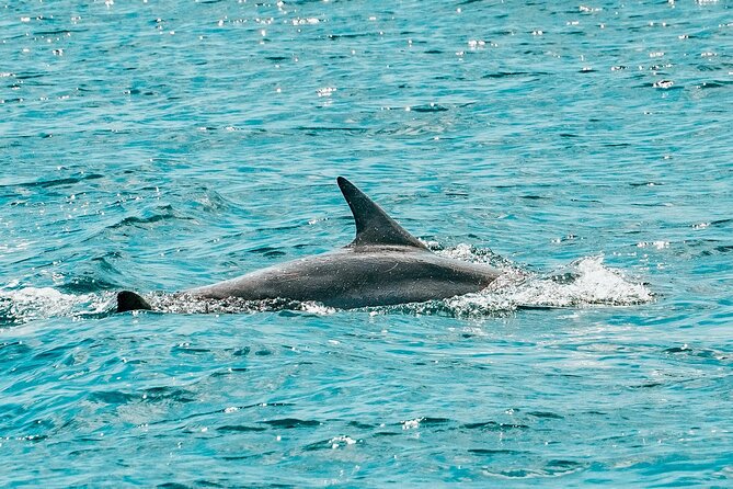 Split: Blue Lagoon & 3 Island Cruise with Wine & Snorkeling - Discovering Trogir’s UNESCO-Listed Old Town