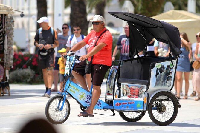 Split by Private Electric Rickshaw - Palace & Hidden Gems - Customizable Itineraries for Different Interests