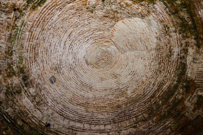 Split Diocletian's Palace & cellars Private Tour - Entrance incl. - Discover Split’s Riva Promenade and Its Vibrant Atmosphere