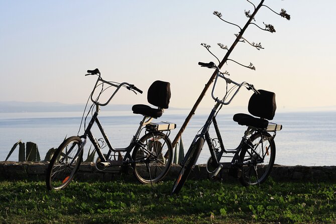 Split Electric Bicycle Tour - From City Streets to Nature: The Route Highlights