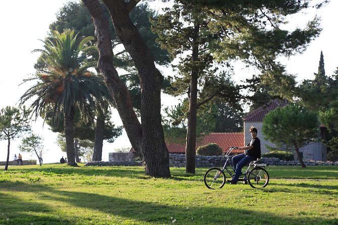Split Electric Bicycle Tour - The Guide’s Role in Making the Tour Special