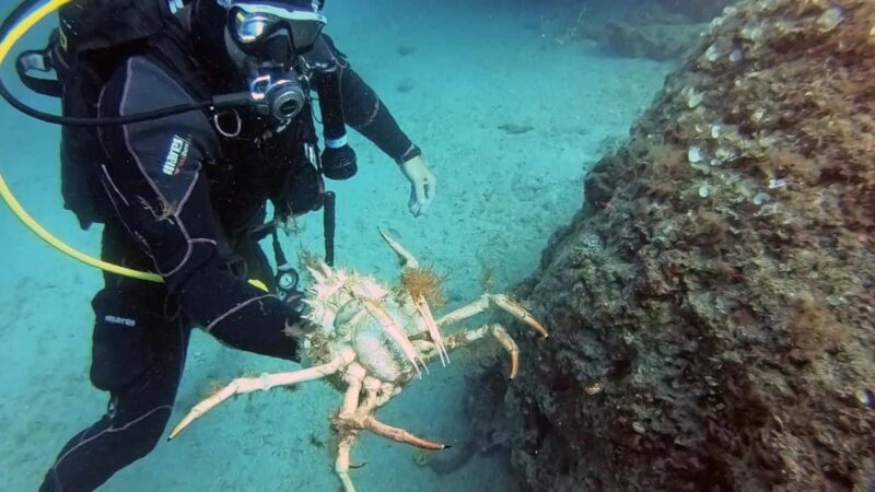 Split-Makarska-Brela Try SCUBA Dive - The Experience for Different Types of Travelers