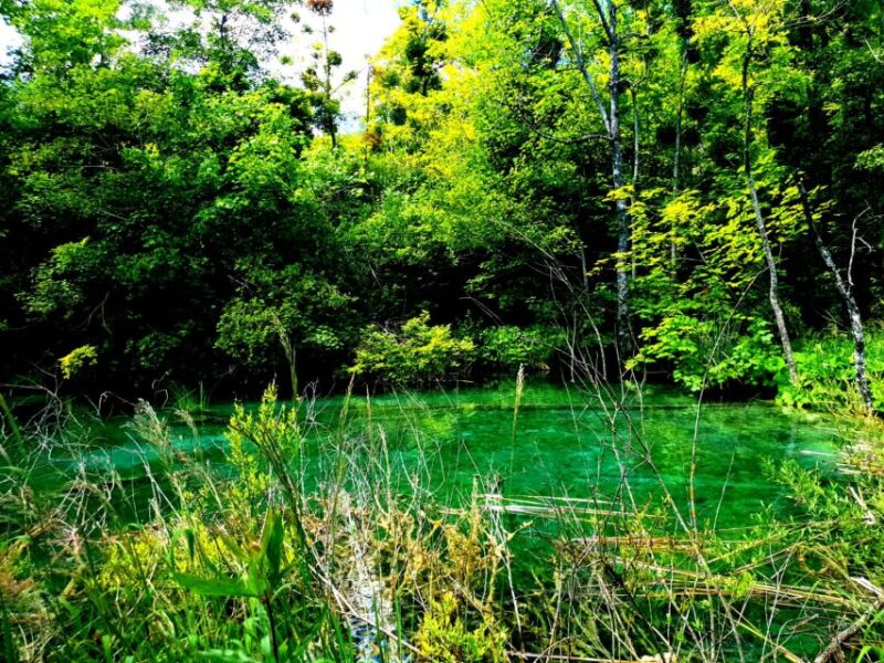 Split: Plitvice Lakes Guided Day Tour with Entry Tickets - Practical Tips for the Day Trip