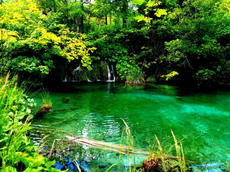 Split: Plitvice Lakes Guided Day Tour with Entry Tickets - The Experience of a Full Day in Nature