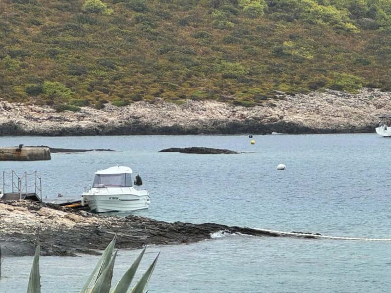 Split: Private Speedboat Charter & All inclusive & - Visit the Pakleni Islands Near Hvar