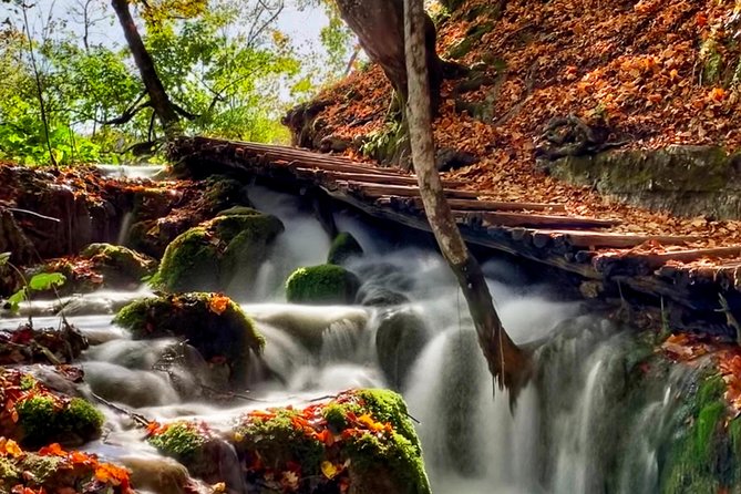 Split to Zagreb Private Transfer with Plitvice Lakes tour - Guides and Customer Service Excellence