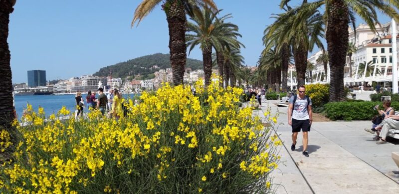 SPLIT:Emperor's Walking Tour for History Lovers - Behind-the-Scenes Access and Local Insights